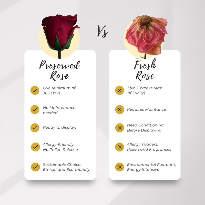 Eternal Blossom Preserved Real Infinity Rose | Eternal Rose That