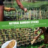 Suclain Bamboo Plant Stakes Plant Support Stakes Indoor and Outdoor