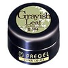 Prygel PG-SE304 Gel Nail Super Color EX Graish Leaf 0.2 oz (4 g)