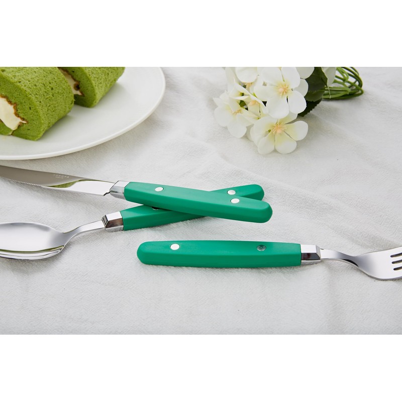 ANNOVA Silverware Set 20 Pieces Stainless Steel Color Handle With