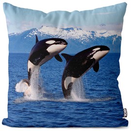VOID Killer Whale Orca Sea Cushion Cover Sofa Cushion Decorative Outdoor Cushion Size: 40 x 40 cm
