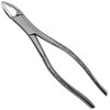 DEXA DENTAL Heavy Duty Dental Extracting Forceps # 150 Apical