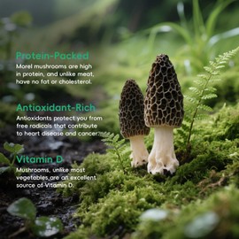 Greenfocus Dried Morel Mushrooms for Cooking, Fresh- Intense Flavor, Nutrient-dense, Intact Shapes, Umami Rich, All-Natural , Thick & Meaty ,Short Stems with Rich Aroma Premium Dry Morels 3oz