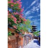 1000 Piece Jigsaw Puzzle Road to Yasaka (Kyoto), Compact Piece
