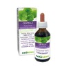 Gotu kola (Centella asiatica) herb Alcohol-Free Mother Tincture Naturalma |