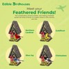 Edible Birdhouse - Birdseed Bird Feeder, Wooden Birds House Covered