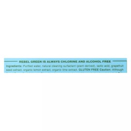 Rebel Green Cleaning Wipes - Fruit and Veggie 17 fl. oz (Pack of 12)