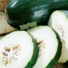 Fairy7Seas Canton Black Skin Long Winter Melon Seeds, Oblong Wax