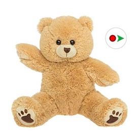 Stuffems Toy Shop Record Your Own Plush 16 inch Plush Brown Bear- Ready to Love in A Few Easy Steps