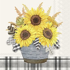 Boston International IHR - Servilletas de papel de 3 capas para otoño, otoño, Acción de Gracias, 20 unidades, tamaño de cóctel, girasoles a cuadros