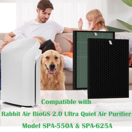 BioGS 2.0 Replacement Filter Kit Compatible with Rabbit Air SPA-550A & SPA-625A – 2 Set HEPA & Activated Carbon Filters | Captures Dust Odors for Home Large Room Pet Owner – 12–18 Month Supply