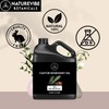 Naturevibe Botanicals Naturevibe Botanicals Moringa Seed Oil 32oz and Castor