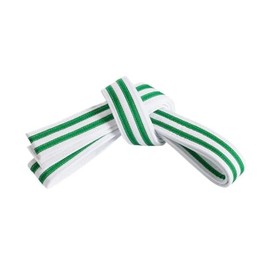 Mastery Little Dragons (White belt/double Green stripe, 1)