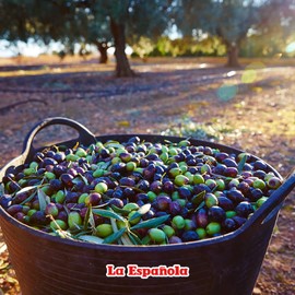 LA ESPAÑOLA First Cold Pressed Extra Virgin Olive Oil, 24 OZ