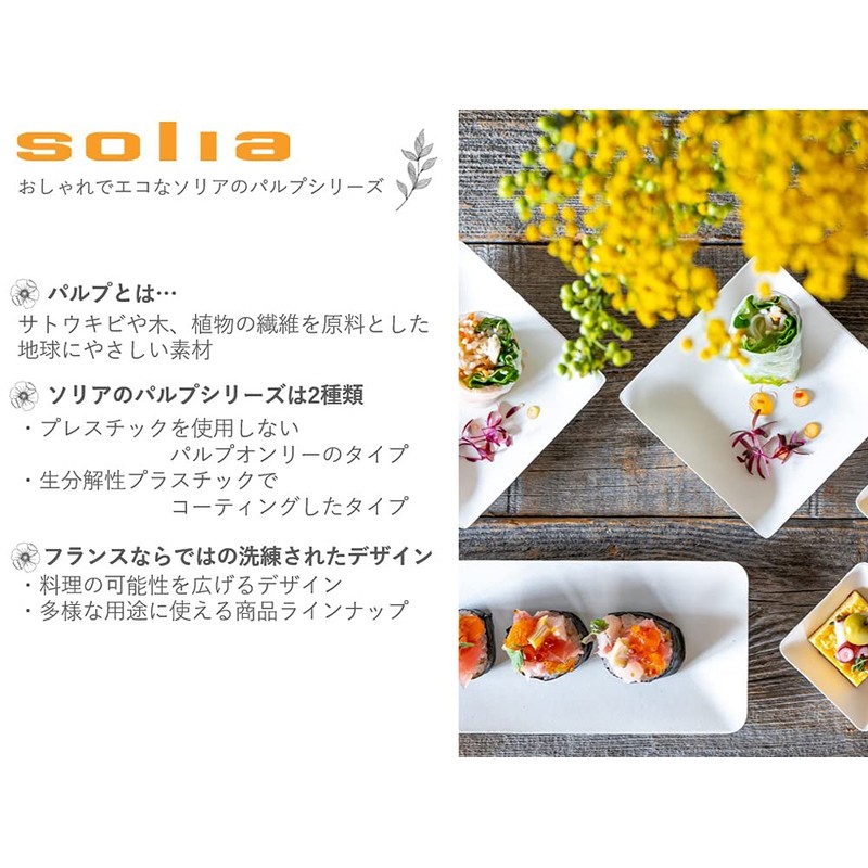 SOLIA VF40522 Soup Plates, Disposable Tableware, 7.1 inches (18 cm),