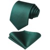 HISDERN Men's Wedding Ties and Pocket Square Tie Clip Set