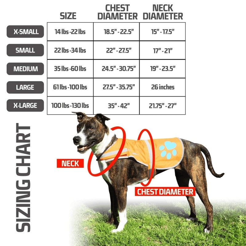 Safetypup Xd Soft shell Waterproof Dog Vest Neck Size 20