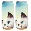 Donne Ragazze Cute Cat 6PC Stampa calze sportive calza calzatura