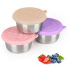 QWEIDHI 3x1.6 Oz Salad Dressing Containers With Lids, Stainless Steel