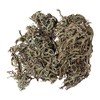 Rayher Lichen Moss, Grey Moss, Bag 20 g, Grey/Green Colour,