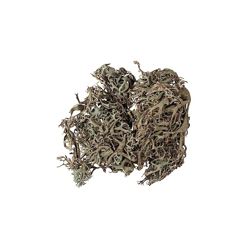 Rayher Lichen Moss, Grey Moss, Bag 20 g, Grey/Green Colour,