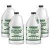 MAXTITE MAXTITE Ultra-Concentrated Hydrogen Peroxide Cleaner - Eucalyptus Scent, 1