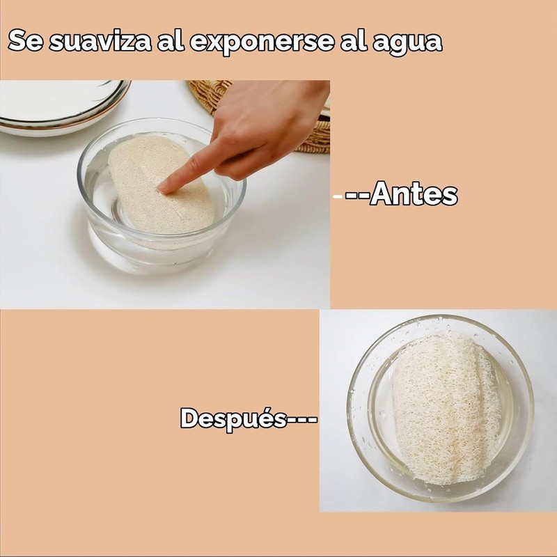 Esponjas naturales de lufa WOCATS WMFQ06 paquete de 6 para