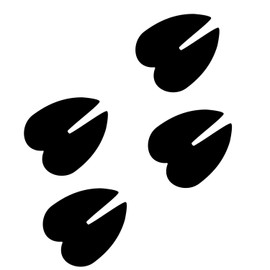 LiteMark 4 Inch Black Removable Hoof Prints Decal Stickers Floors Walls - Pack of 18