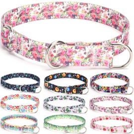 haoyueer Dog Collar Training No Pull Martingale Collar, Slip Collar with Sliding Stop Ring for Small Medium Large Dogs (M, Peony)