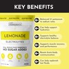 JUST INGREDIENTS Lemonade Electrolytes Drink Mix - Coconut Water, Sea