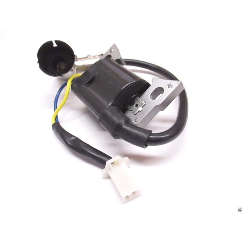 Generac iX2000 Ignition Coil - 0H43470136