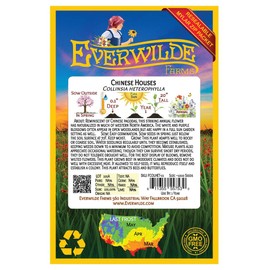 Everwilde Farms - 1000 Chinese Houses Native Wildflower Seeds - Gold Vault Jumbo Seed Packet