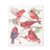 Abbott Collection Cardinals Swedish Dishcloth - Cellulose/Cotton (6.75x7.5 L)