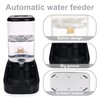 Elevon Automatic Cat Feeder, Gravity Food and Water Dispenser Bowl