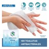 Toallitas Húmedas Antibacteriales Caja con 100 piezas