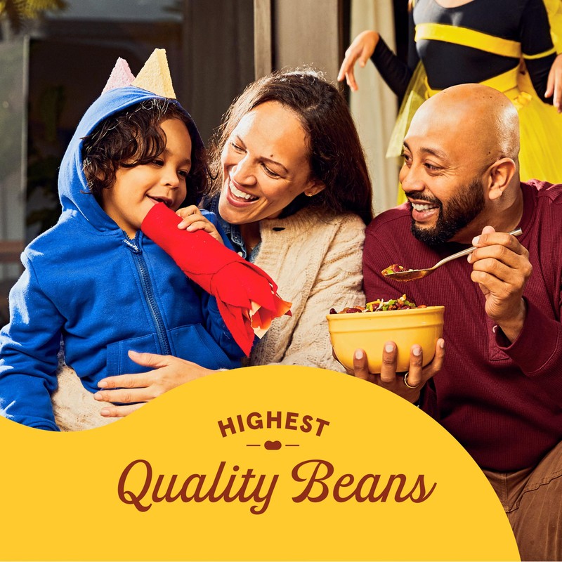 BUSH'S BEST 16 oz Canned Spicy Dark Red Chili Beans,