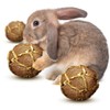 SunGrow Rabbit Teeth Floss Ball, 2”, Coco Fiber Chew Ball,