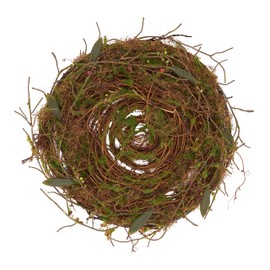 Rustic Charm Twig and Moss Placemat (Set of 4)