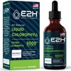 E2H Chlorophyll Liquid Drops - All-Natural Flavored Energy Booster, Immune