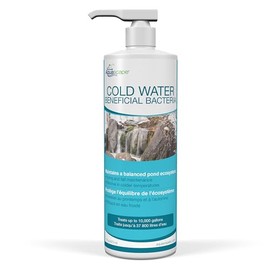 Aquascape 98893 Cold Water Beneficial Bacteria for Pond and Water Features, 16-Ounce
