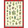 Tea Towel Scottish Wild Flowers