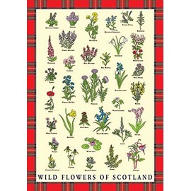 Tea Towel Scottish Wild Flowers