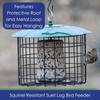 Backyard Essentials Squirrel Defeater Seed or Suet Log Cage Feeder