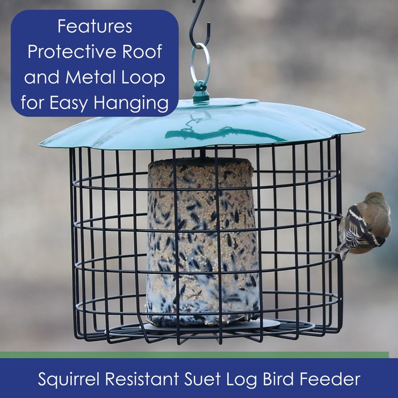 Backyard Essentials Squirrel Defeater Seed or Suet Log Cage Feeder