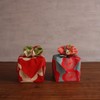 Furoshiki japonés reversible – Paño de envoltura tradicional para lonchera