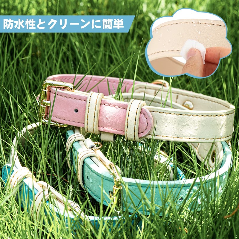 AKAGIICHI Dog Collar Leather Dog Collar Collar for Small, Medium
