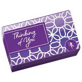 Fairytale Brownies Thinking of You Sprite Dozen Individually Wrapped Gourmet Chocolate Food Gift Basket for Sympathy Good Luck or All-Occasion - 3 Inch x 1.5 Inch Snack-Size Brownies - 12 Pieces - Item HT212