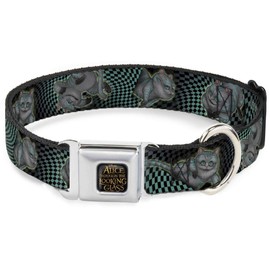 Dog Collar Seatbelt Buckle Cheshire Cat 4 Poses Checkers Teal Black 15 to 26 Inches 1.0 Inch Wide