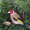 Vivid Arts - Hanging Goldfinch on Branch - HGF-019