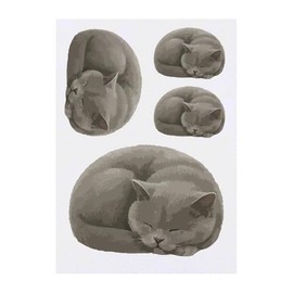Azeeda 4 x 'Curled Up Sleeping British Shorthair Cat' Temporary Tattoos - Water Resistant, Skin-Safe, Non-Toxic Transfers, Mixed Sizes (TO00090830)